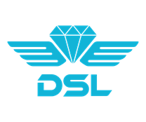 Diamond Samudera Logistics